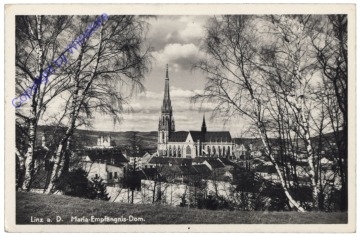 Linz an der Donau, Maria Empfängnisdom