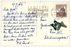 Oberwang, Ortsansicht