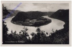 Schlögen, Donauschleife