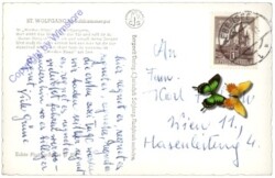 St. Wolfgang, Multiansicht