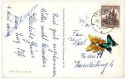 St. Wolfgang, Strobl und St. Gilgen