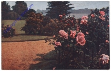 Rosen