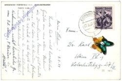 Bregenz, Bregenzer Festspiele: Zigeunerbaron 1951