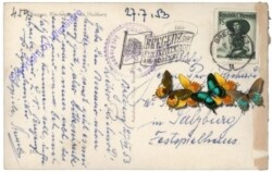 Bregenz, Pfänderspitze