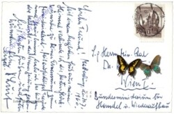 ak169353a Forchtenau, Schloß Forchtenstein