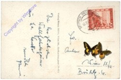 Loretto, Multiansicht