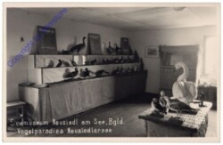 Neusiedl am See, Seemuseum, Vogelparadies