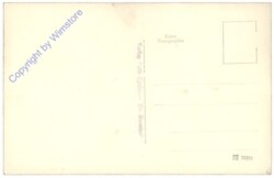 Neusiedl am See, Seemuseum, Vogelparadies