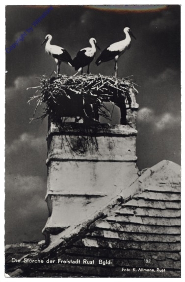 ak169373 Rust, Störche