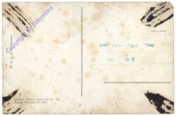 Karpellus, A.: Stilleben