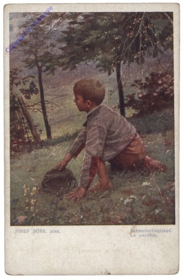 Süss, Josef: Schmetterlingsjagd