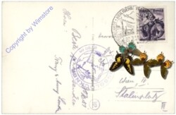 Großglockner, Hochalpenstrasse