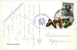 Großglockner, Hochalpenstrasse, Sturmalpe