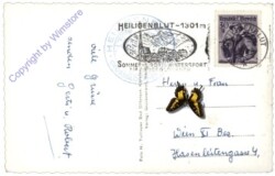 Heiligenblut, mit Großglockner