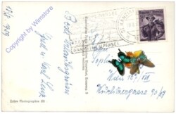 Klopeinersee, Multiansicht