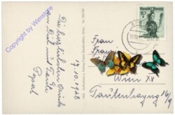 Maltatal, Fallbachfall