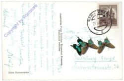 Maria Wörth, Ansicht