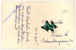 ak169820a Millstatt, Ortsansicht