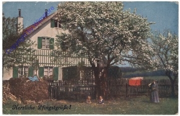 ak169986 Kinder in der Wiese