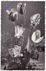 Blumen, Geburtstag