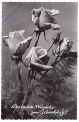 Blumen, Geburtstag