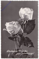 ak169991 Blumen, Geburtstag