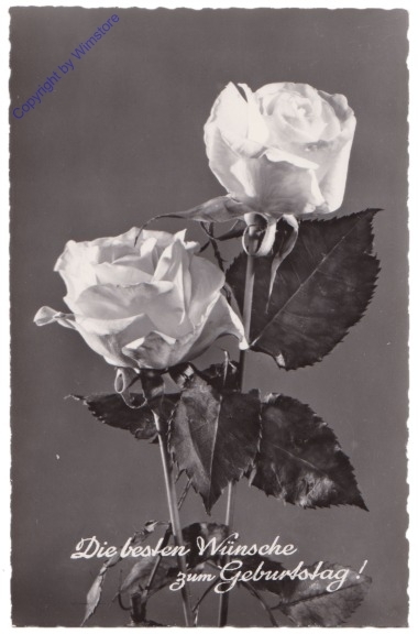 ak169991 Blumen, Geburtstag