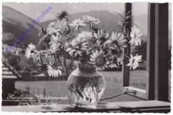 ak169992 Blumen, Geburtstag