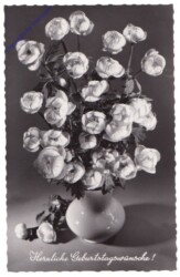 ak169993 Blumen, Geburtstag