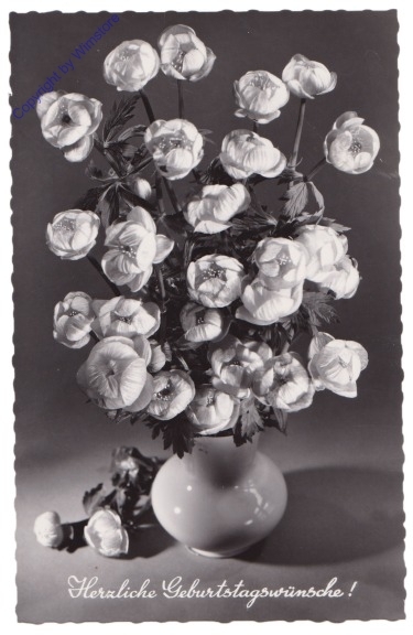 ak169993 Blumen, Geburtstag