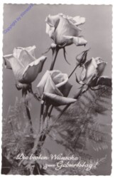 Blumen, Geburtstag