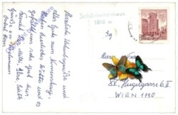 Aflenz, Multiansicht