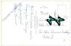 Bad Mitterndorf, Ansicht