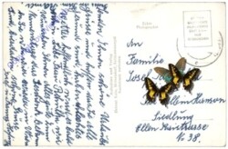 Bad Mitterndorf, Ansicht