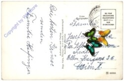 Bad Mitterndorf, Ansicht