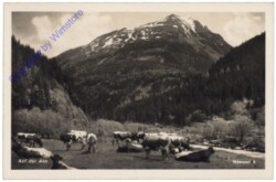 Fladnitz an der Teichalpe, Auf der Alm