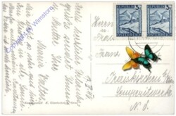 Frohnleiten, Schloss Rabenstein