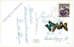 Gaishorn, gegen die Reichensteingruppe