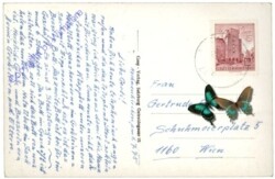 Gössenberg, HÜttensee mit Hoher Wildstelle