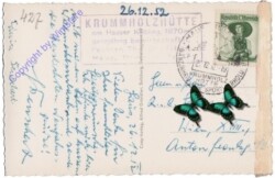 Haus im Ennstal, Seilbahn zur Krummholzhütte