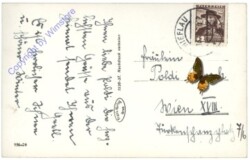 Liezen, Gesäusestrasse, In der Leiter mit Gr. Buchstein