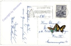 ak170284a Mariazell, Ansicht