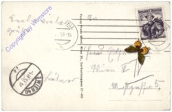 ak170299a Mariazell, Gruss aus