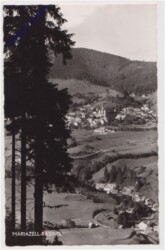 Mariazell, Rasing