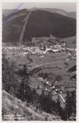 Mariazell, mit der Bürgeralpe