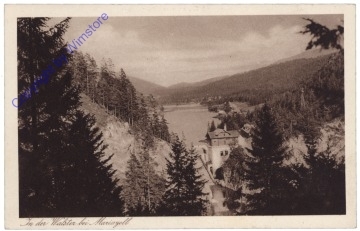 ak170336 Mariazell, In der Walster