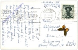 Mariazell, Ortsansicht