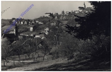 Pinggau, Ortsansicht