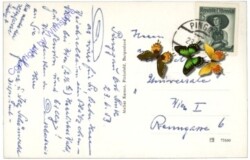 Pinggau, Ortsansicht