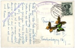 Ramsau, Silberkarklamm